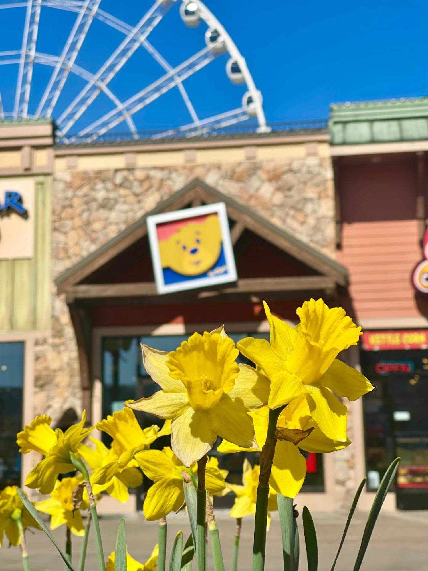 Dreams Come True Pigeon Forge Exterior foto